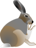 Itchy Rabbit Clip Art